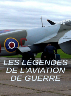 Les légendes de l'aviation de guerre